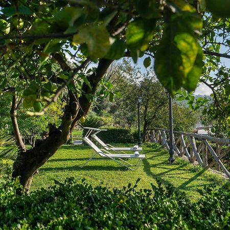 Villa Prota Вико-Экуенсе Экстерьер фото